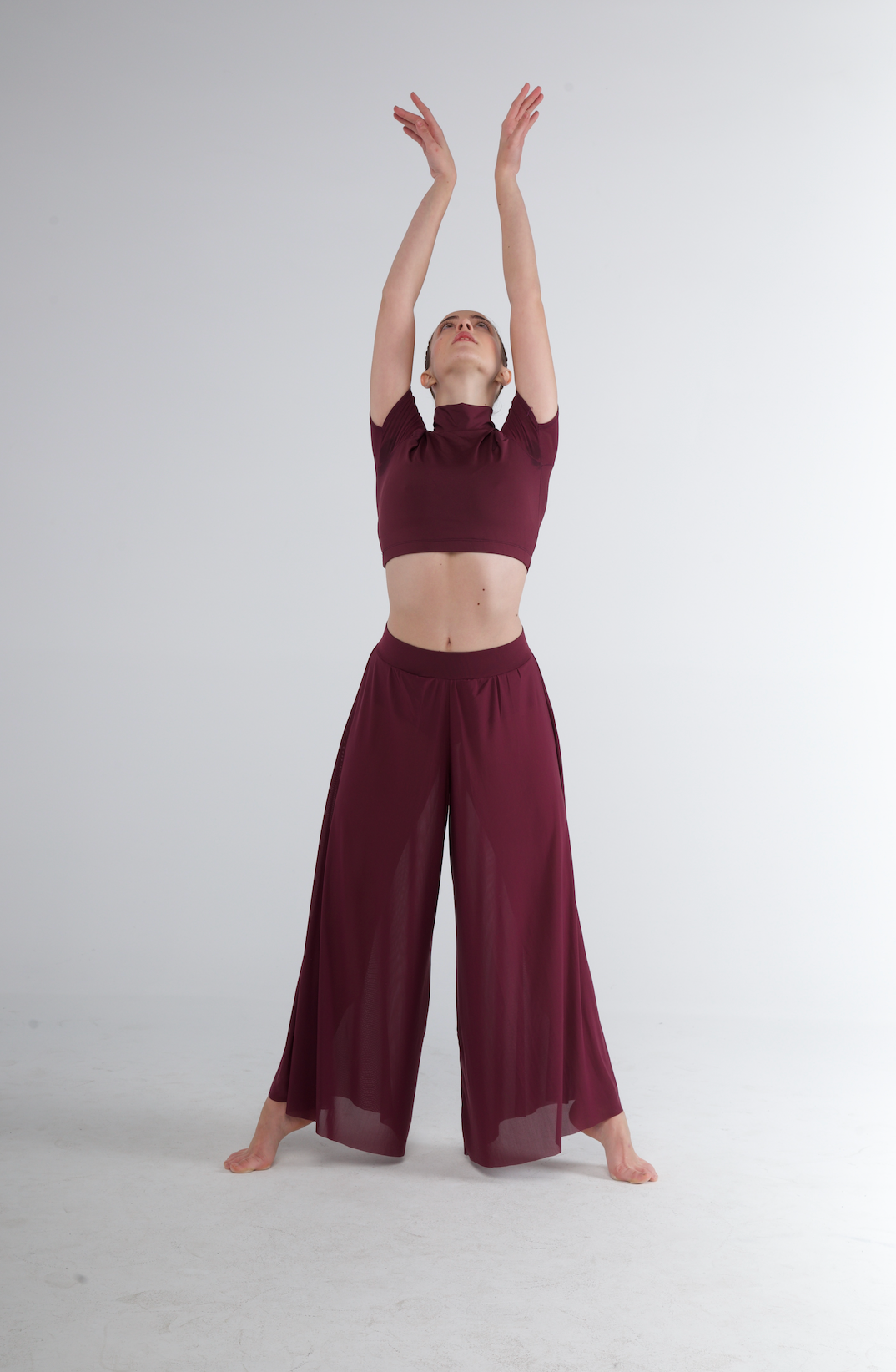High Neck Crop Top - 294