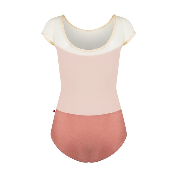 Meagan Mesh Cap Sleeve Leotard - Rosewood