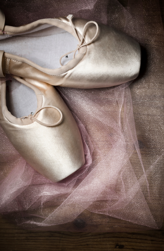 Pointe Shoes for Crafts or Decor