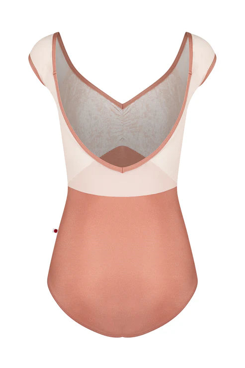 Elli Mesh Cap Sleeve Leotard - Rosewood
