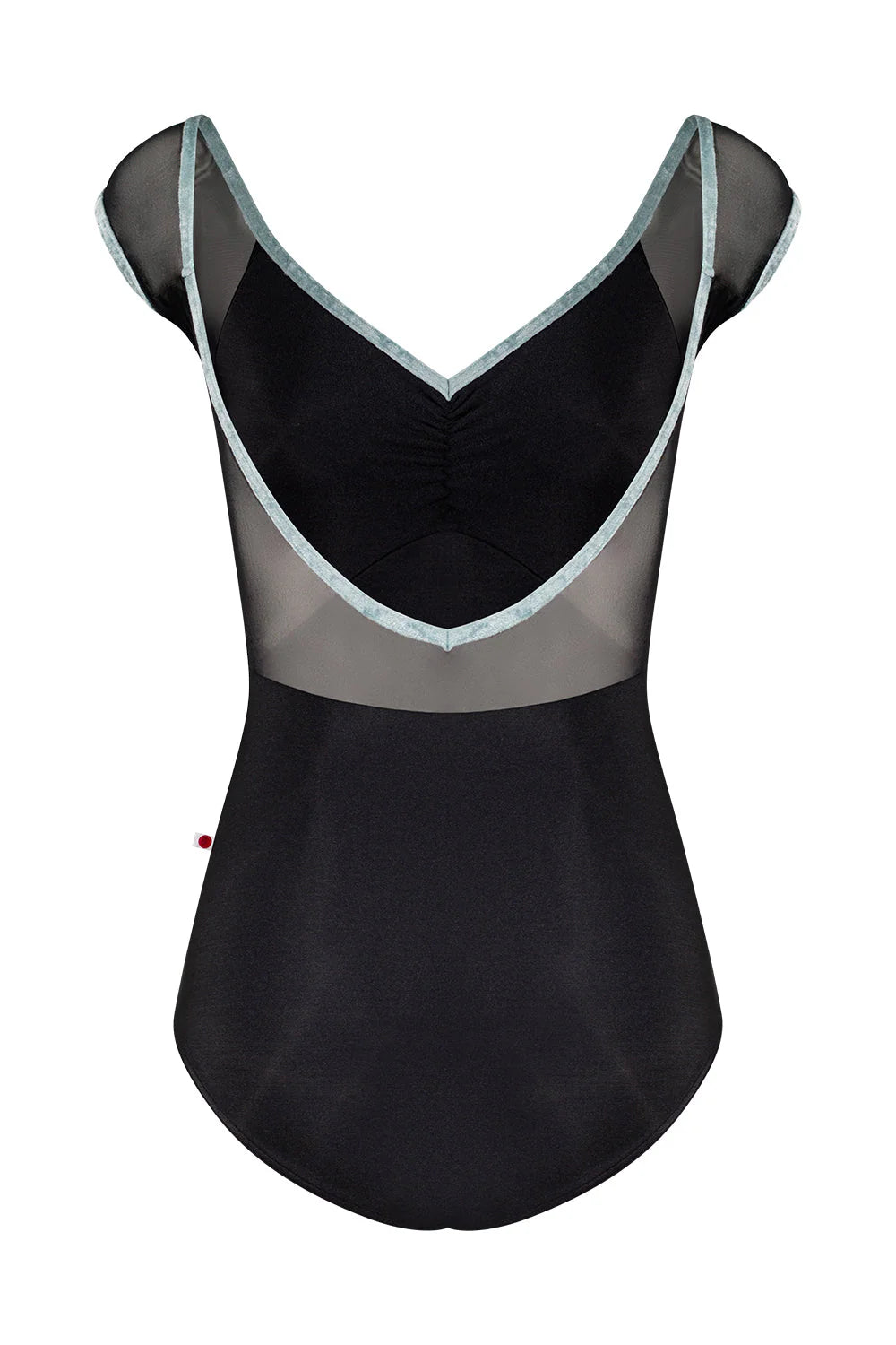 Elli Mesh Cap Sleeve Leotard - Black/Ice