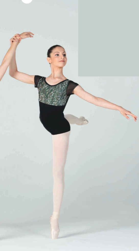 Patterned Mesh Cap Sleeve Leotard - 337