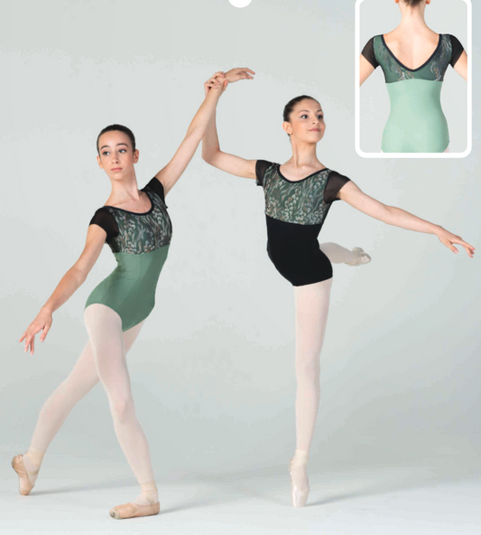 Patterned Mesh Cap Sleeve Leotard - 337