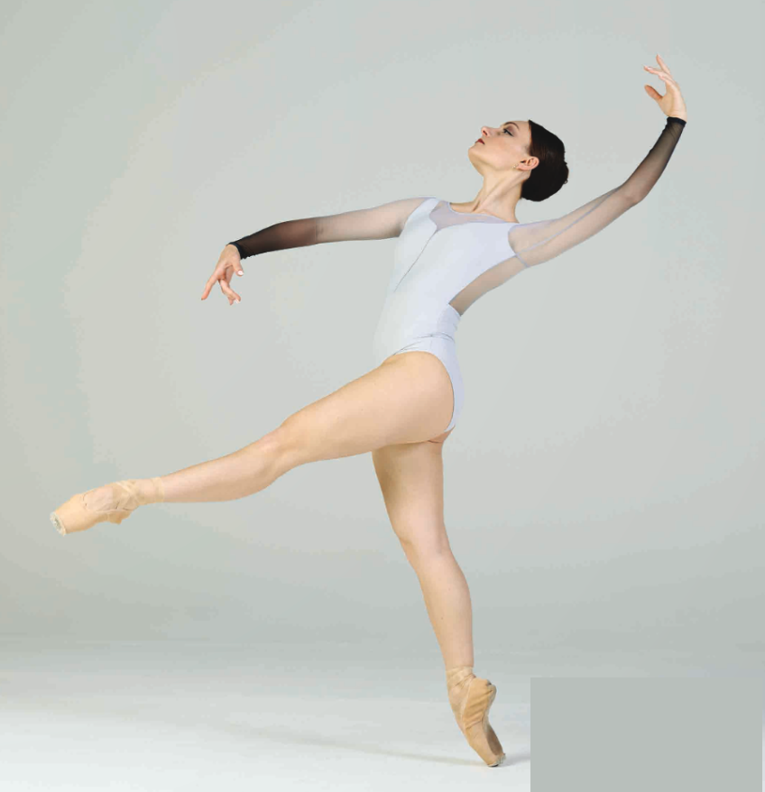 Ombre Mesh Long Sleeve Leotard - 411