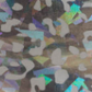 Shoe Bag - Multiple Colorways - 0235/2N