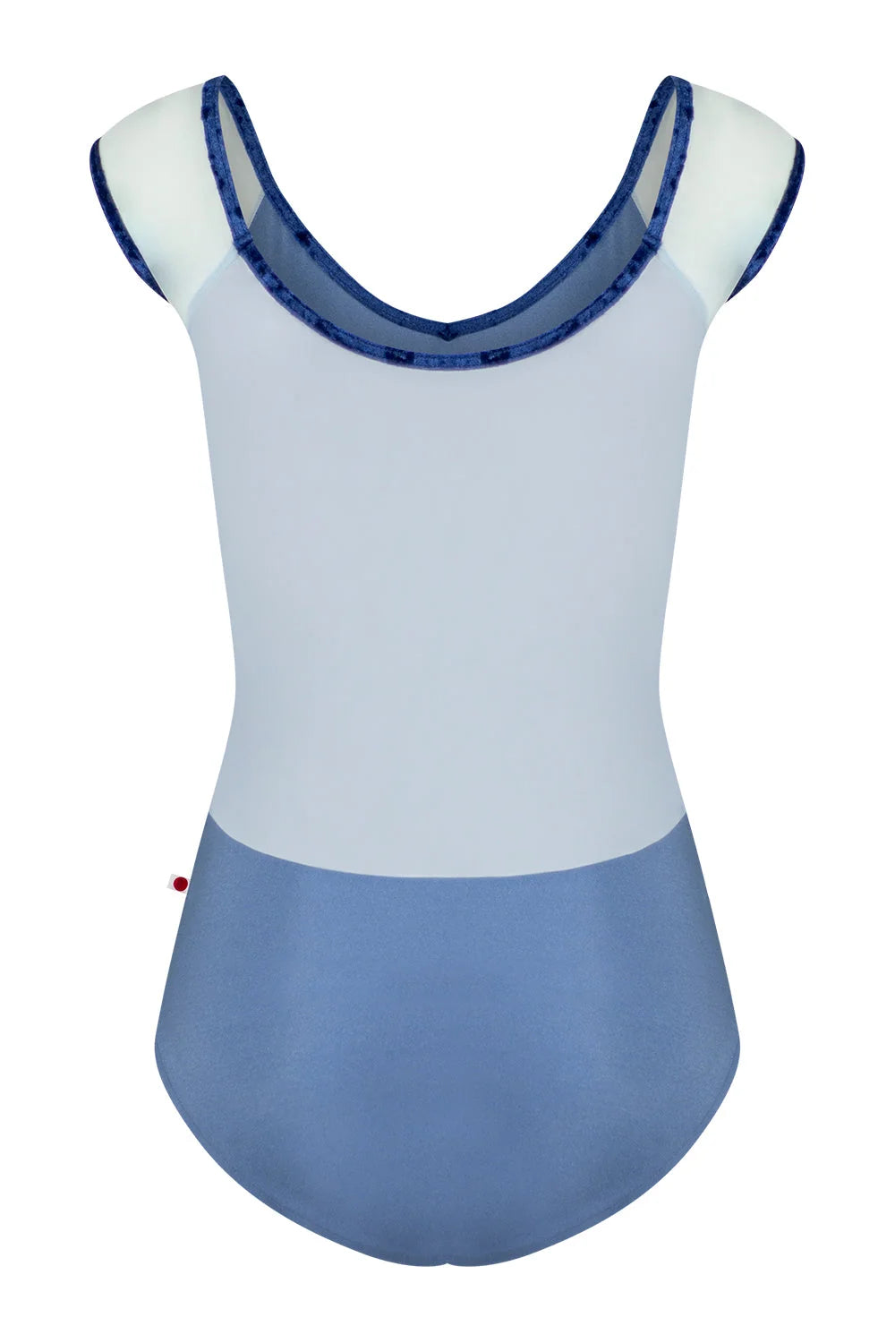 Nina Mesh Cap Sleeve Leotard - Artic