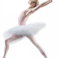 Rehearsal Tutu - R2921