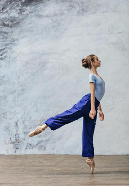 Bliss Heat Retention Pants - 0405N